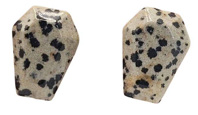 Natural Stone Coffin Shaped Earrings