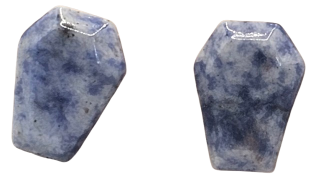 Natural Stone Coffin Shaped Earrings